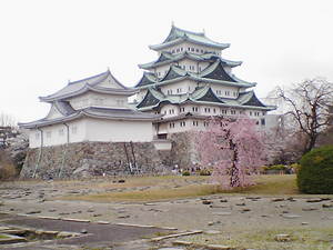名古屋城と桜.jpg