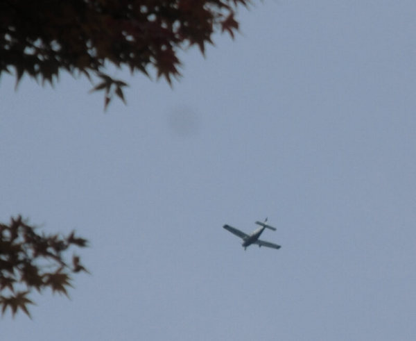 東山動物園から見えた飛行機.jpg