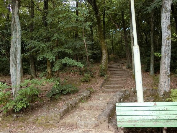 茶屋ヶ坂公園散策の小径2.jpg